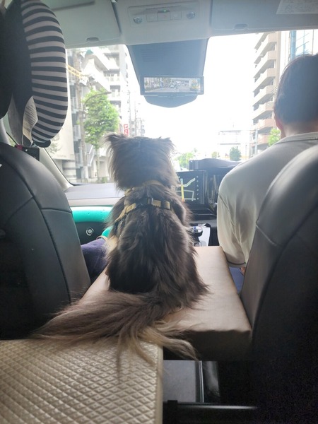 26-01-10-09-36-49-140_deco