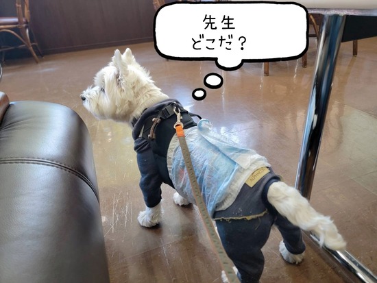 歯医者の日。本日も問題なし！｜乳酸菌＋エリスリトール習慣