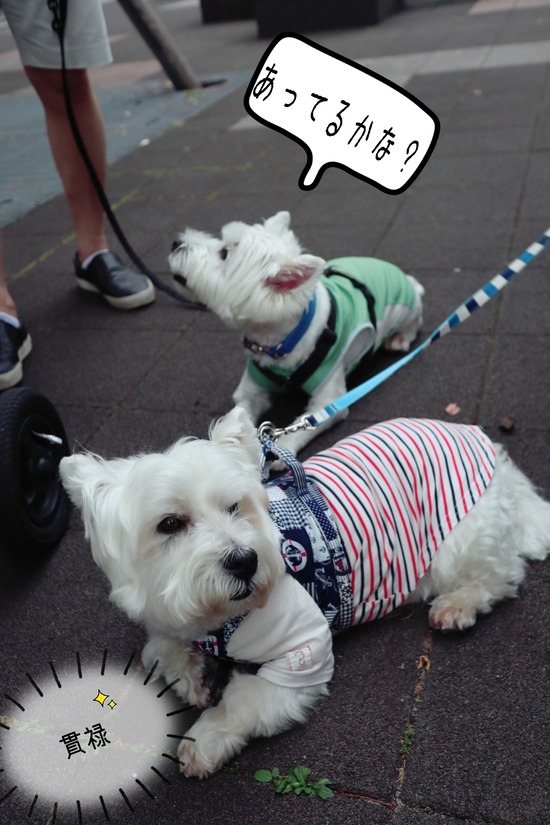 21-06-17-19-55-13-161_deco