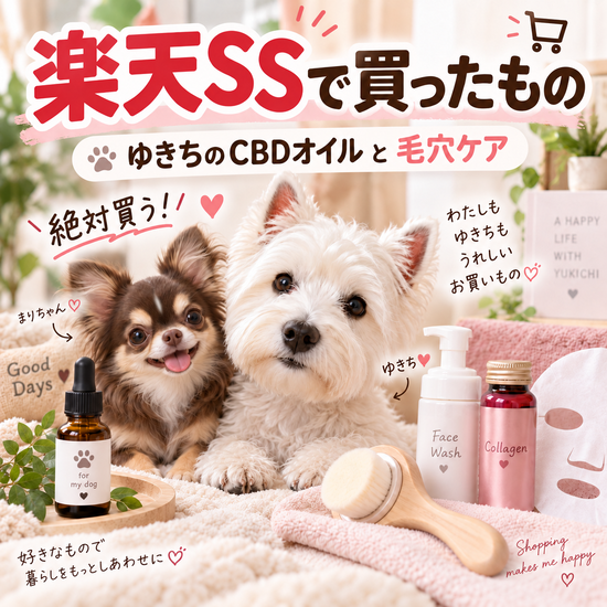 【楽天SS購入品】ゆきちが雷を克服したCBDオイルと、毛穴大ピンチからの脱却スキンケア！
