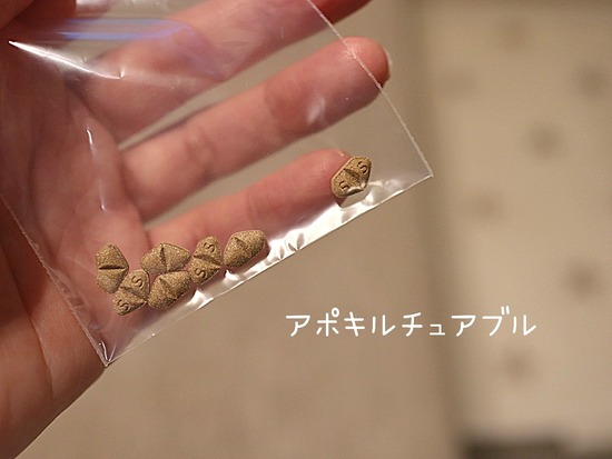 24-08-31-20-02-22-372_deco