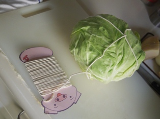 たかシェフのおうちごはん。-haru kyabetu