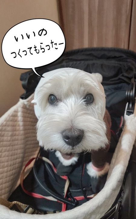 24-05-16-20-18-55-234_deco