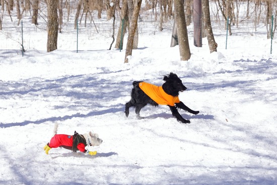 22-03-01-12-52-00-027_deco