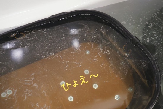 25-12-08-11-29-40-016_deco