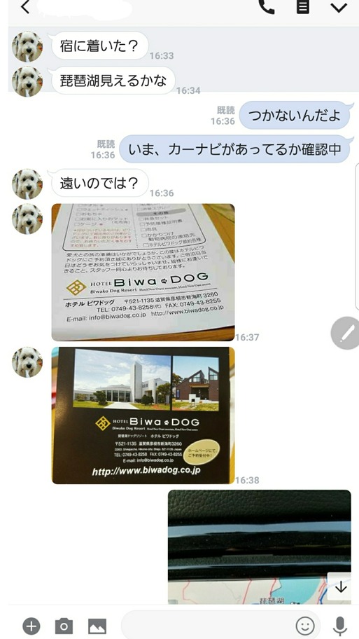 18-04-10-19-00-05-429_deco