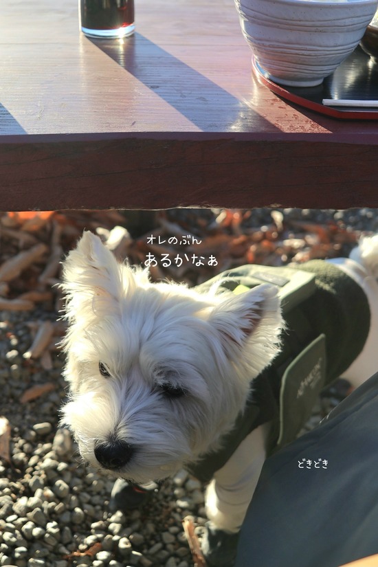 25-12-15-10-07-38-705_deco