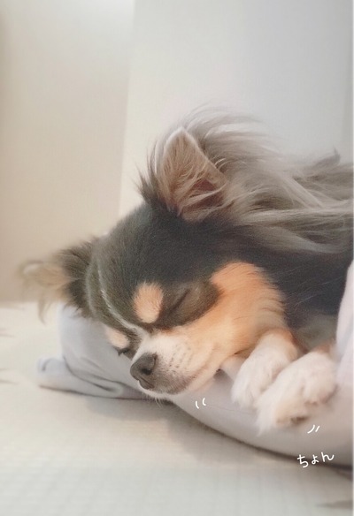 21-12-12-10-05-23-603_deco