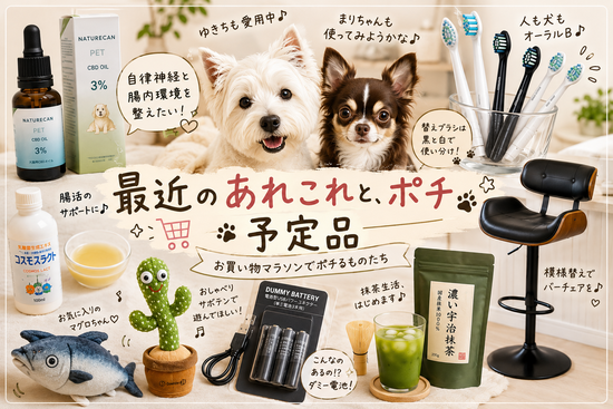 【楽天お買い物マラソン】自律神経と腸活と模様替えと、ポチ