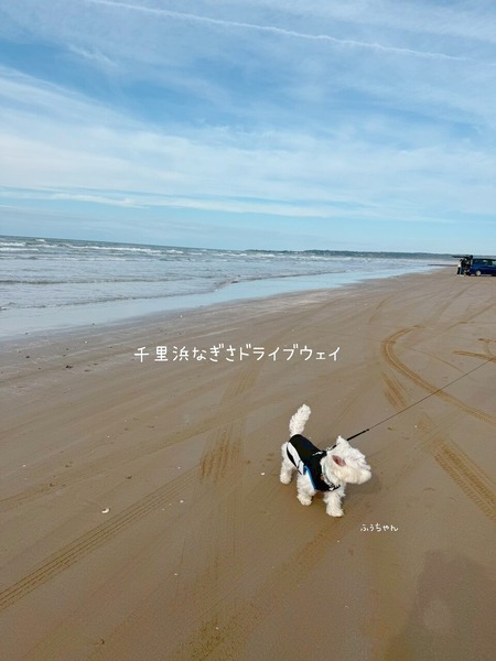 25-11-25-20-24-31-703_deco