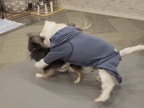 25-11-04-09-45-15-048_deco