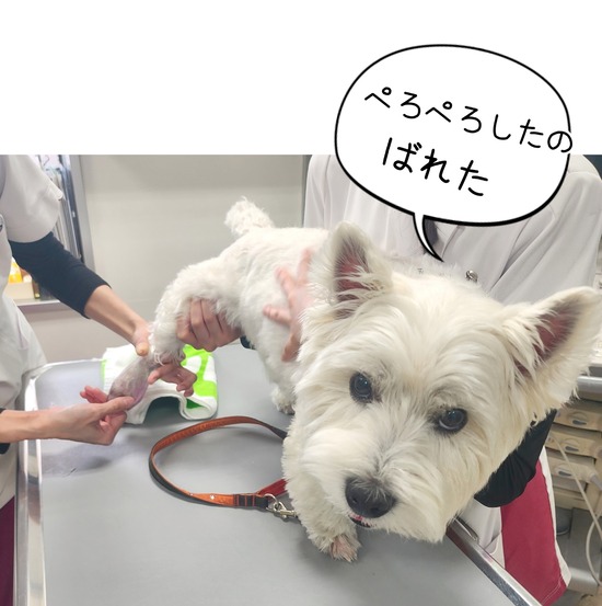 24-06-18-08-33-45-009_deco