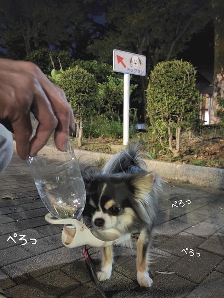 22-10-03-19-23-15-185_deco