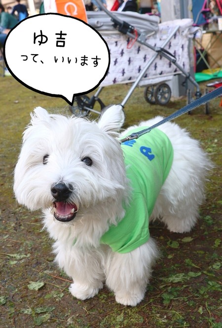 22-10-29-23-07-46-132_deco