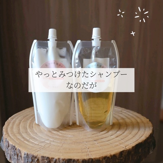 調味料 シャンプー 目出度い