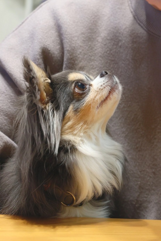 23-03-04-12-37-05-512_deco