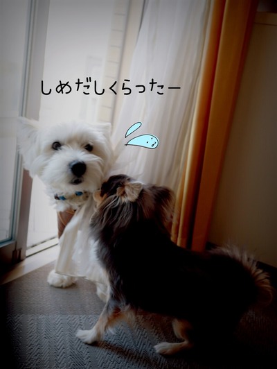 21-12-12-18-18-44-475_deco