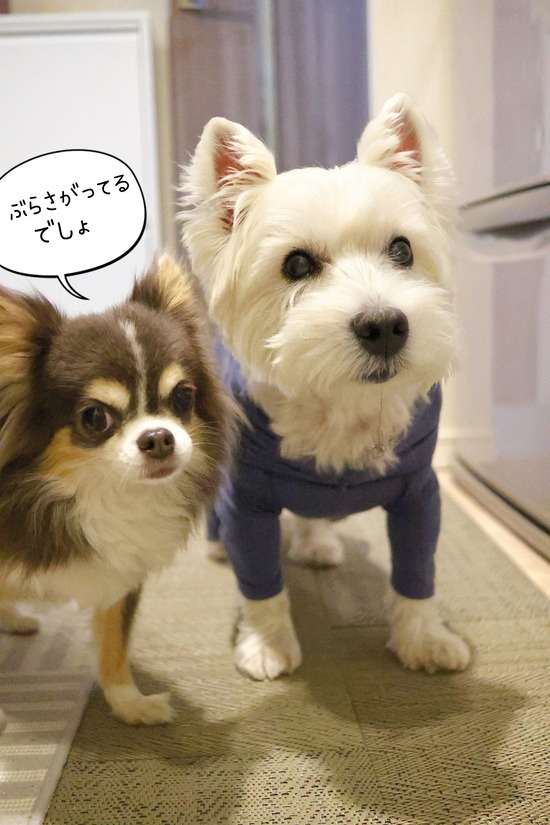 25-11-04-09-39-29-614_deco