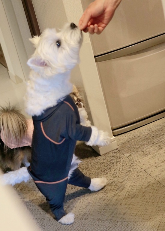 23-04-21-02-57-19-892_deco