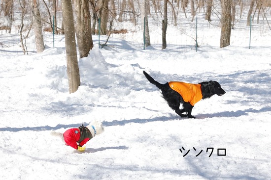 22-02-24-16-12-51-450_deco