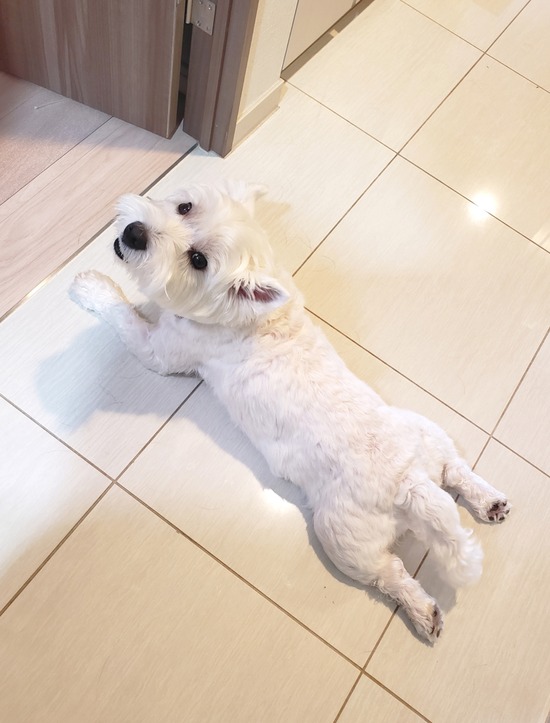 21-09-13-09-54-17-404_deco