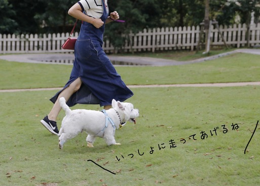 18-10-01-19-20-34-710_deco