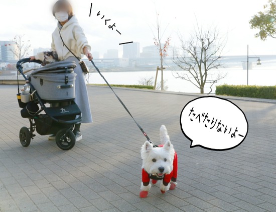 21-12-03-14-32-31-060_deco