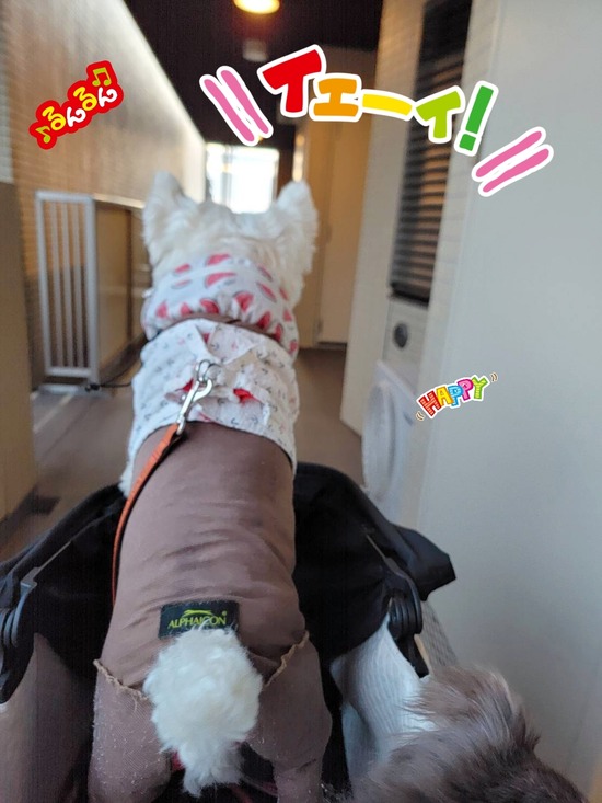 24-07-19-19-17-56-042_deco