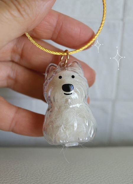 犬の毛ホルダーって知ってる？うちのブランカ入りです。