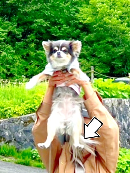 24-05-30-23-47-05-927_deco