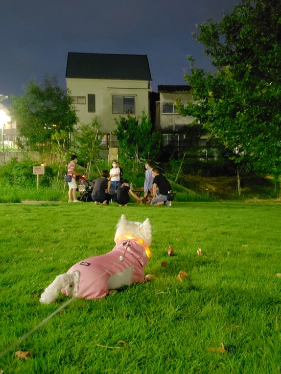 21-08-23-00-30-39-987_deco