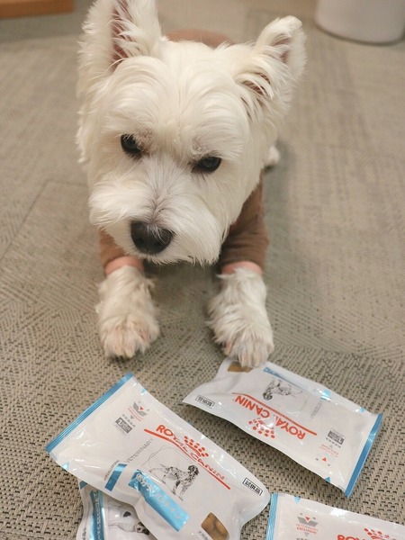 24-08-31-19-53-30-495_deco