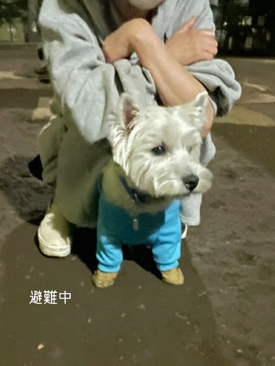 21-04-17-09-31-29-004_deco