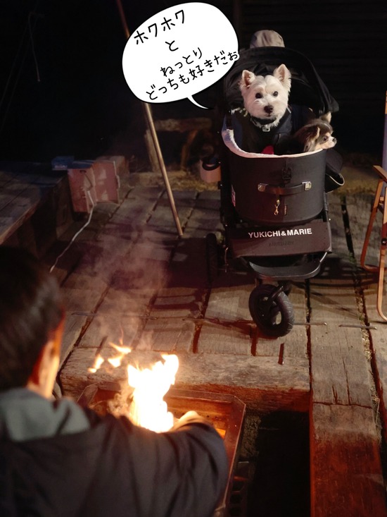 たかシェフ、焼きいもにもダメ出し。