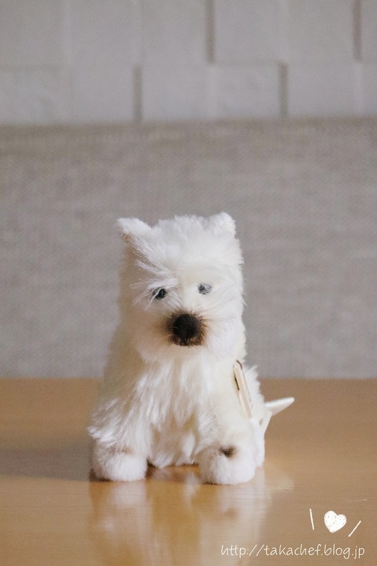 【日記】プレゼントは～、『箱入り息子』！！