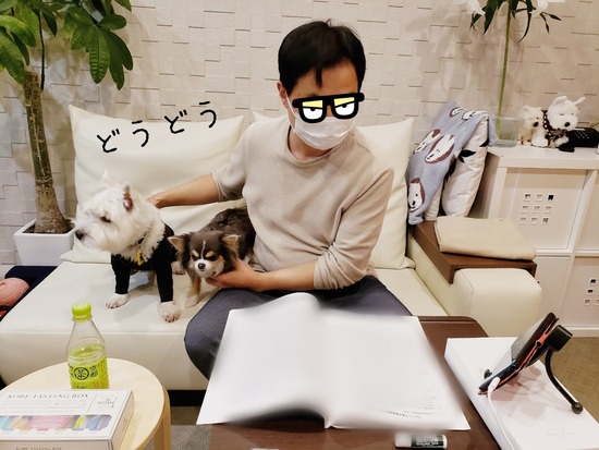 【犬】テレビ会議に参加しちゃうぞ～