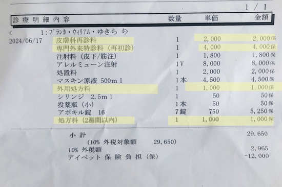 24-06-18-08-49-29-548_deco