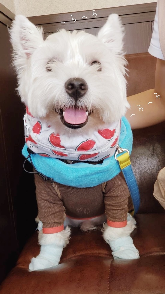 20-08-13-15-35-04-791_deco