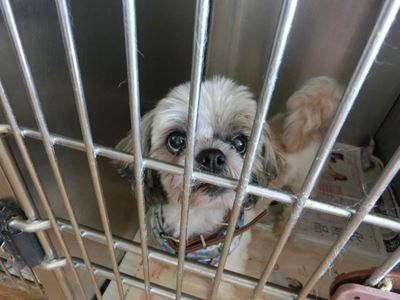 o0400030012666492624