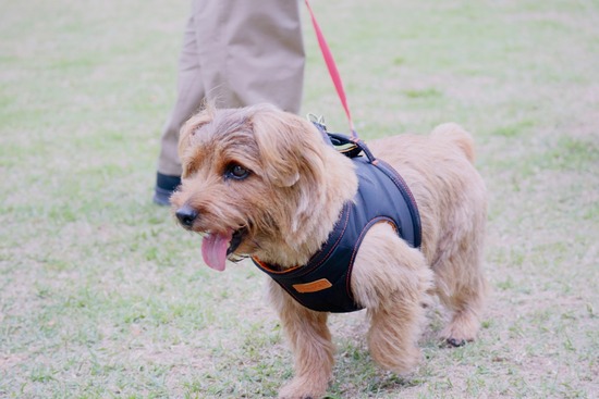 21-10-23-21-37-40-881_deco