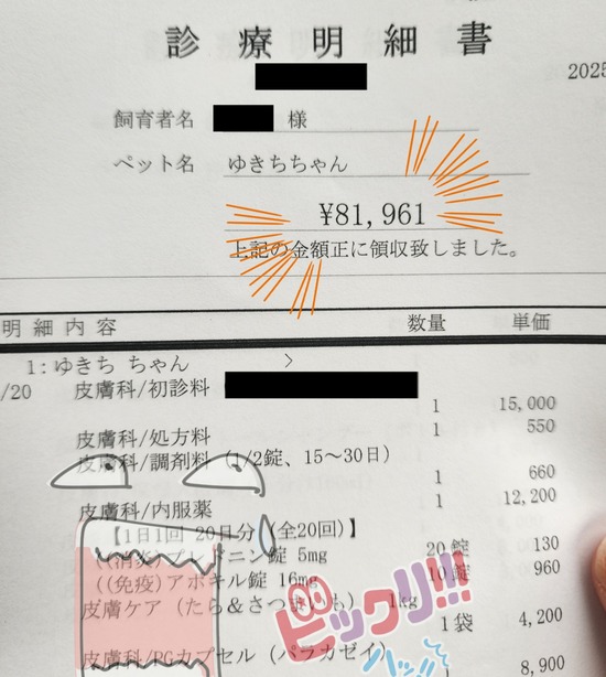 25-10-22-09-09-40-837_deco