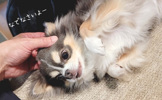 24-08-06-20-04-03-076_deco