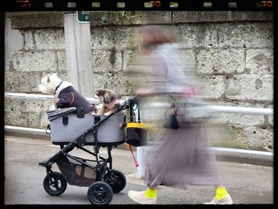 25-12-07-10-01-03-593_deco