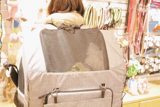 【犬グッズ】とうとう買っちゃったよ～