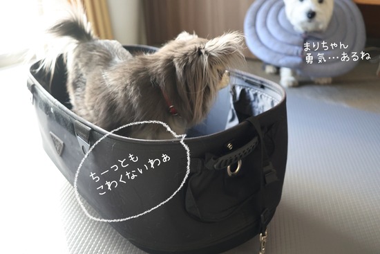 25-12-08-11-13-04-232_deco