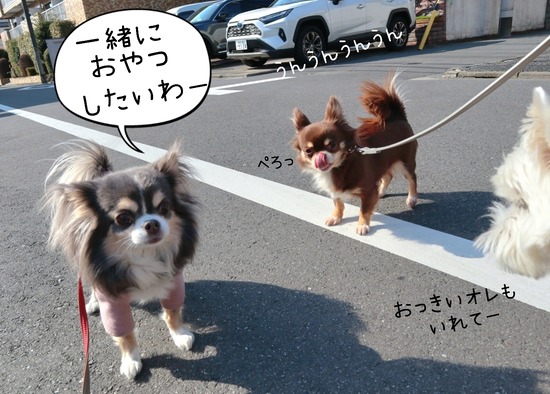 24-03-15-17-25-27-832_deco