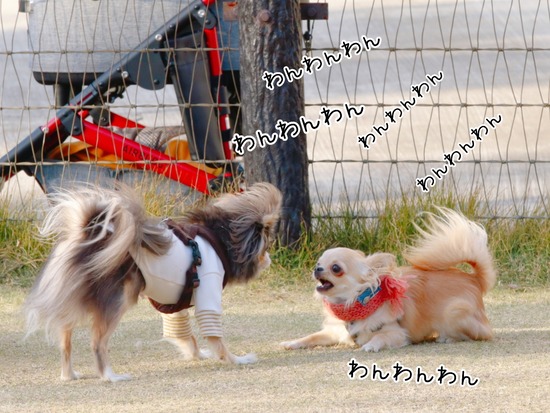 21-12-02-14-11-14-301_deco