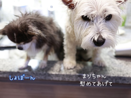 25-12-31-07-20-49-168_deco