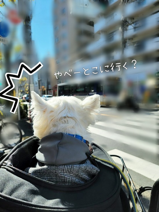 21-12-03-09-10-32-161_deco