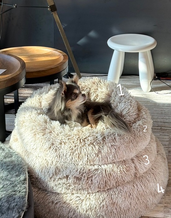 26-01-29-07-37-21-773_deco